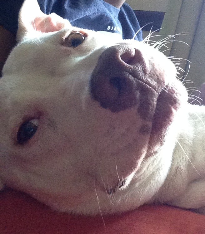 Rae resting calmly, eyes soft